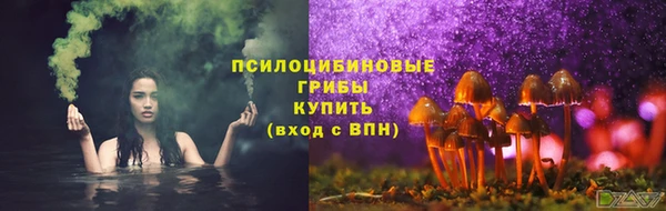 героин Алексин